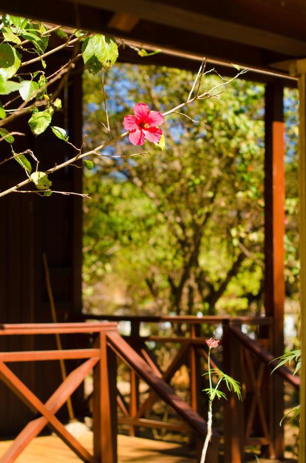Olympe De Bemaraha Hotel Bekopaka ภายนอก รูปภาพ